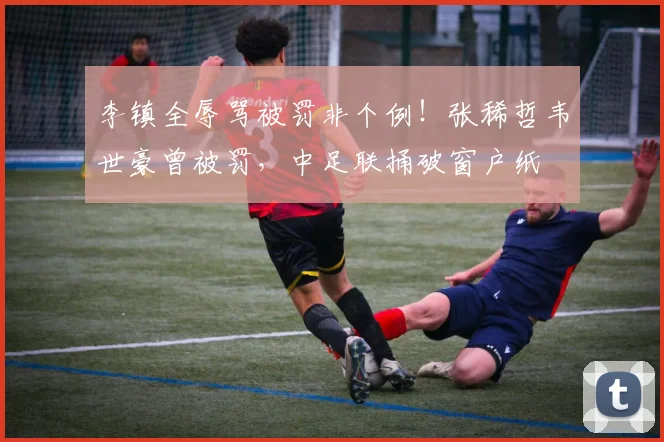 李镇全辱骂被罚非个例！张稀哲韦世豪曾被罚，中足联捅破窗户纸